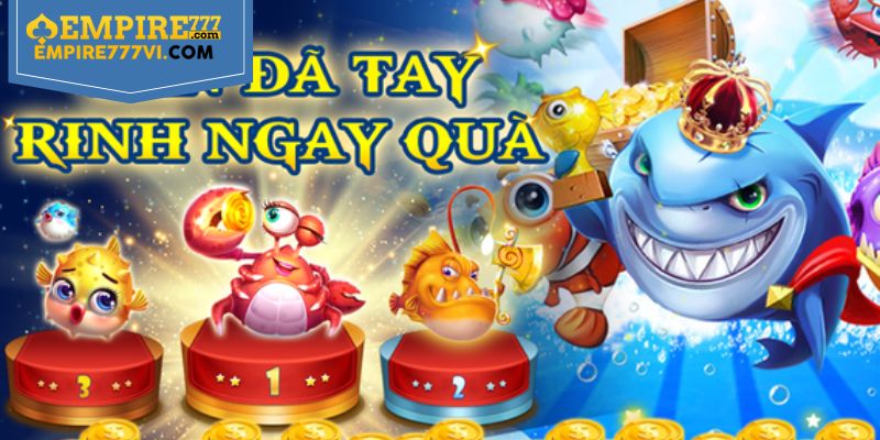 Lời Khuyên Từ Những Người Chơi Kinh Nghiệm